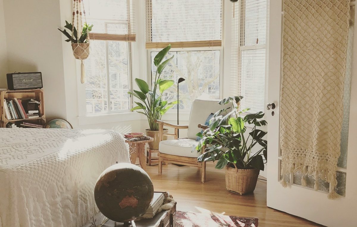 brown wooden framed white padded chair in between green indoor leaf plants inside bedroom